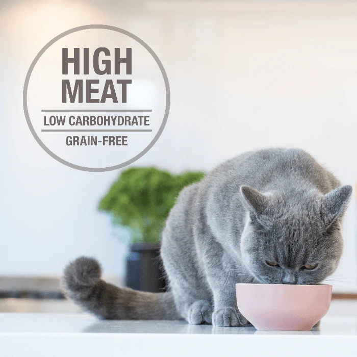 Feline Natural Chicken Feast Canned Wet Cat Food 170G - Image 5